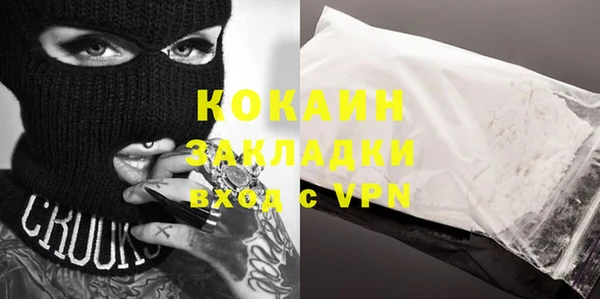 индика Абинск