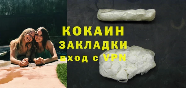 индика Абинск