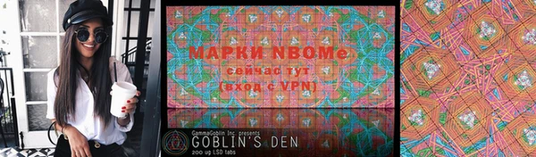индика Абинск