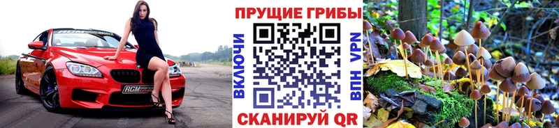 OMG зеркало  Искитим  Псилоцибиновые грибы ЛСД 